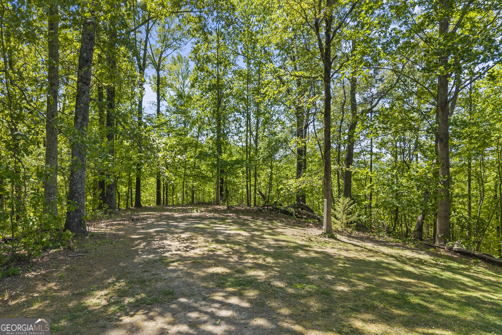 721 Scenic Drive Toccoa - Photo 21