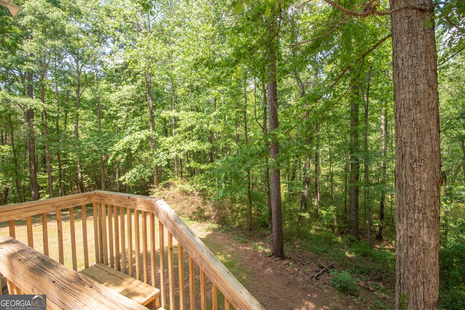 80 Walton Place Drive Newnan - Photo 50