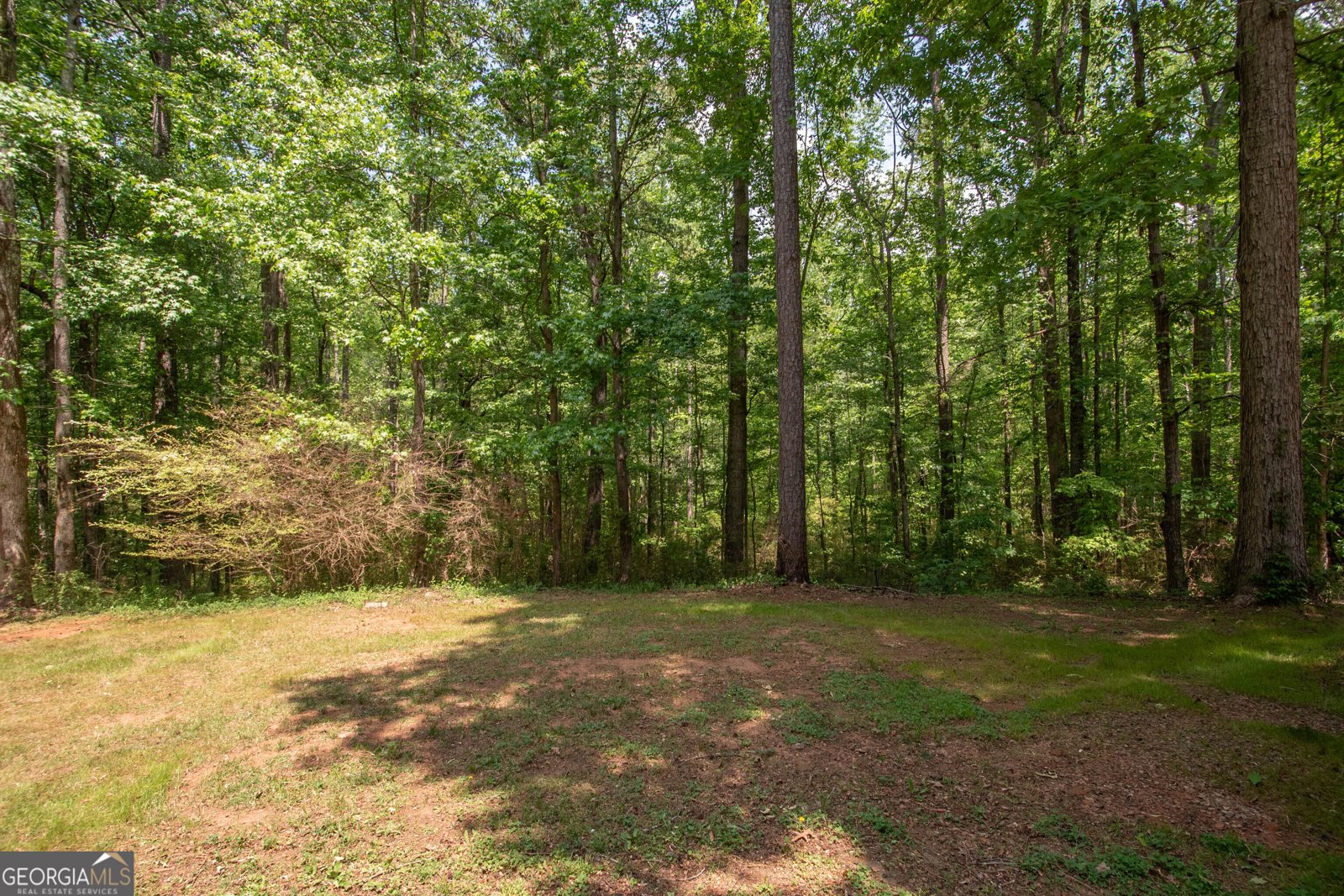 80 Walton Place Drive Newnan - Photo 55