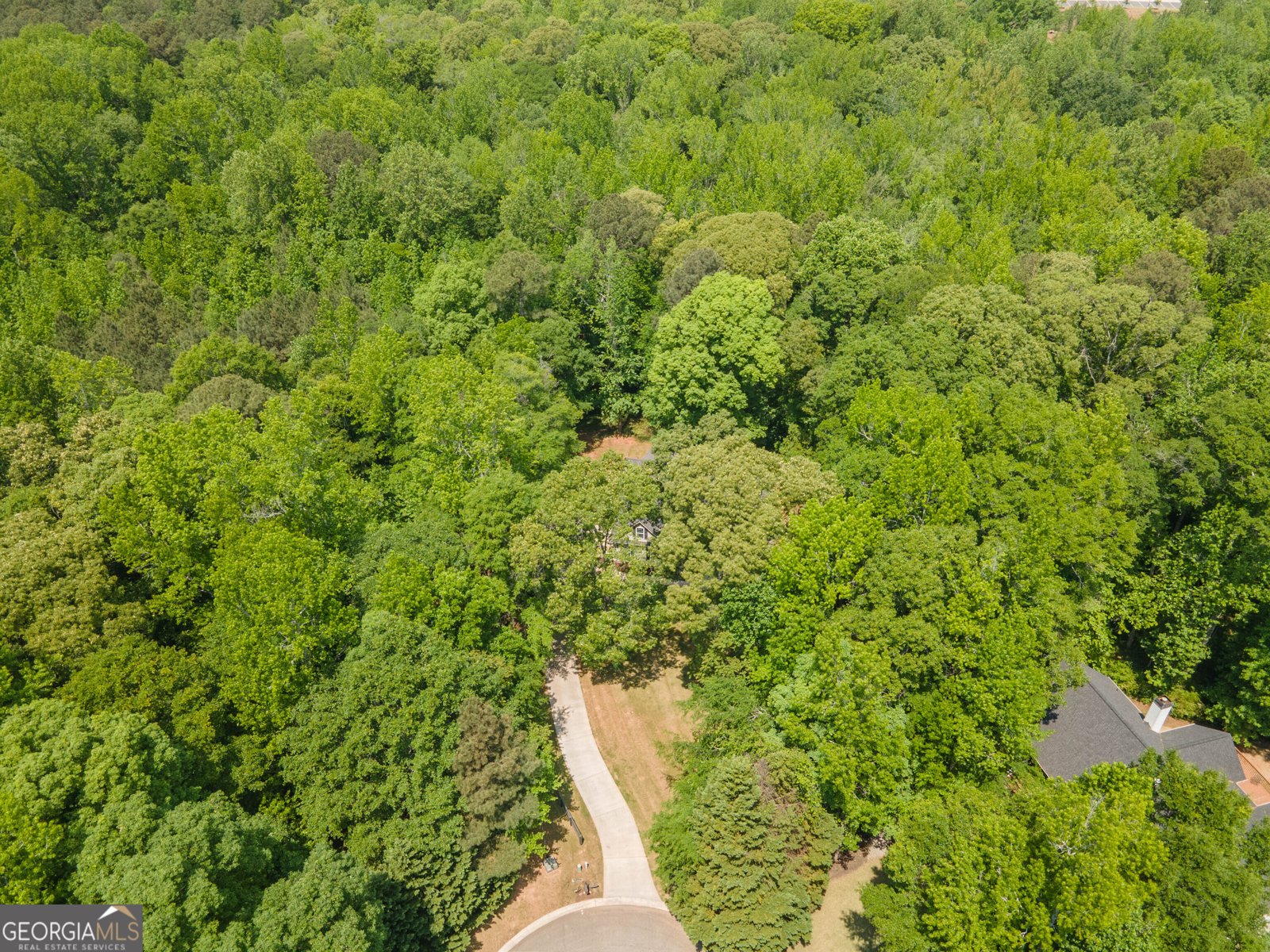 80 Walton Place Drive Newnan - Photo 61