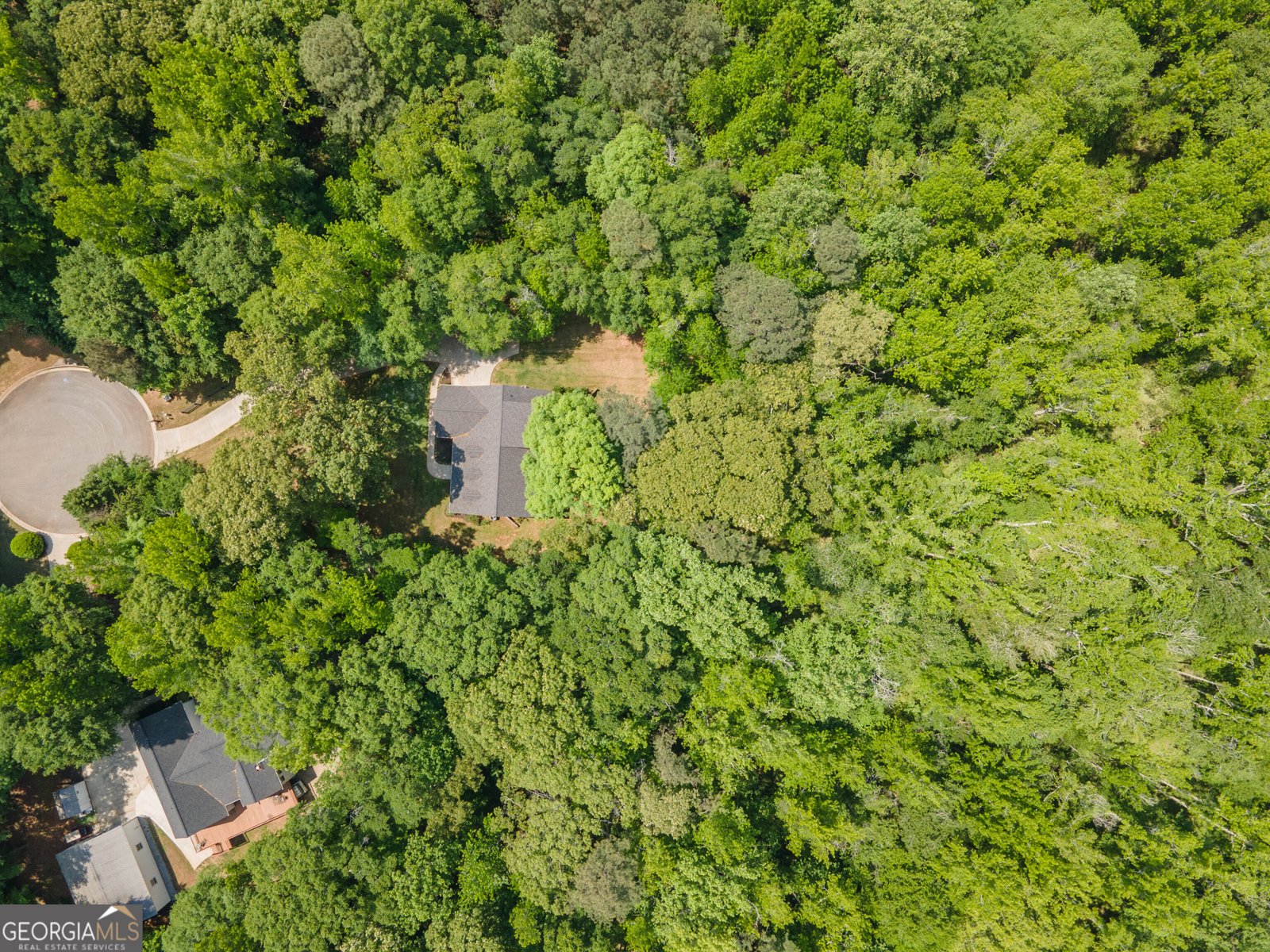 80 Walton Place Drive Newnan - Photo 62