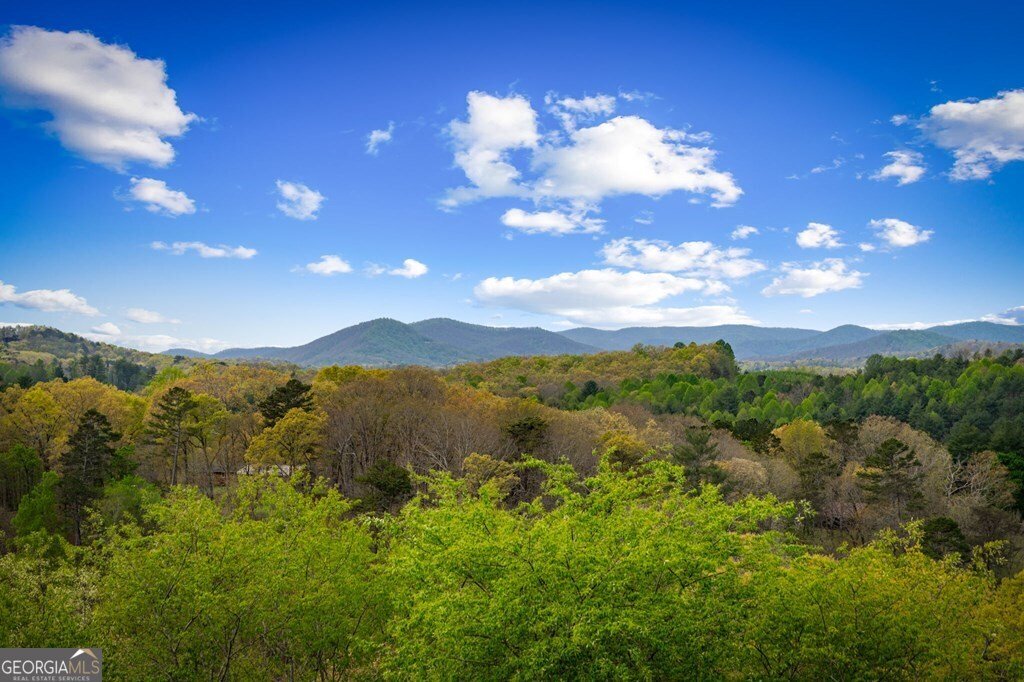 167 Cohutta Sunset Drive Blue Ridge - Photo 66