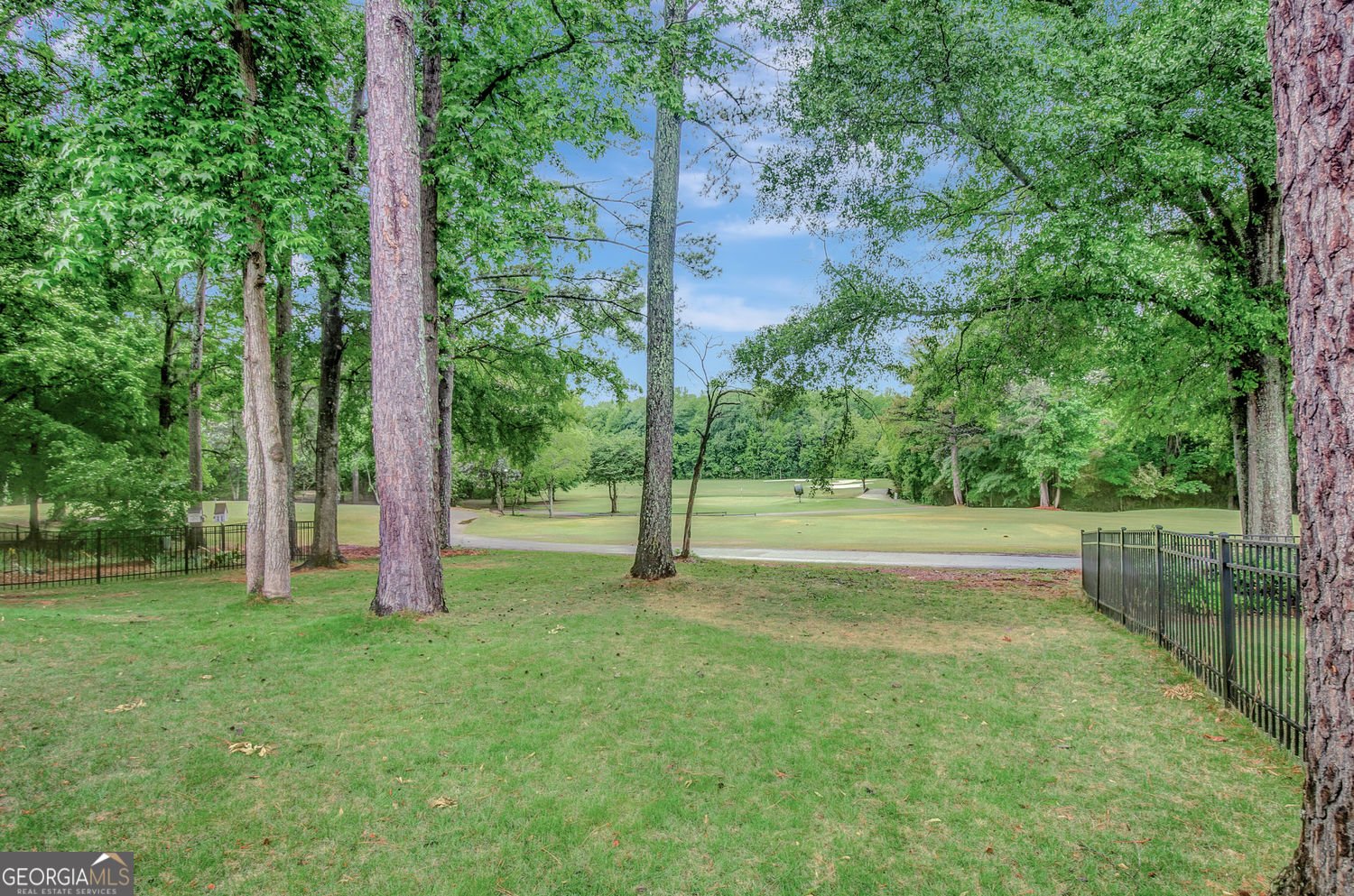 38 Greenview Drive Newnan - Photo 11