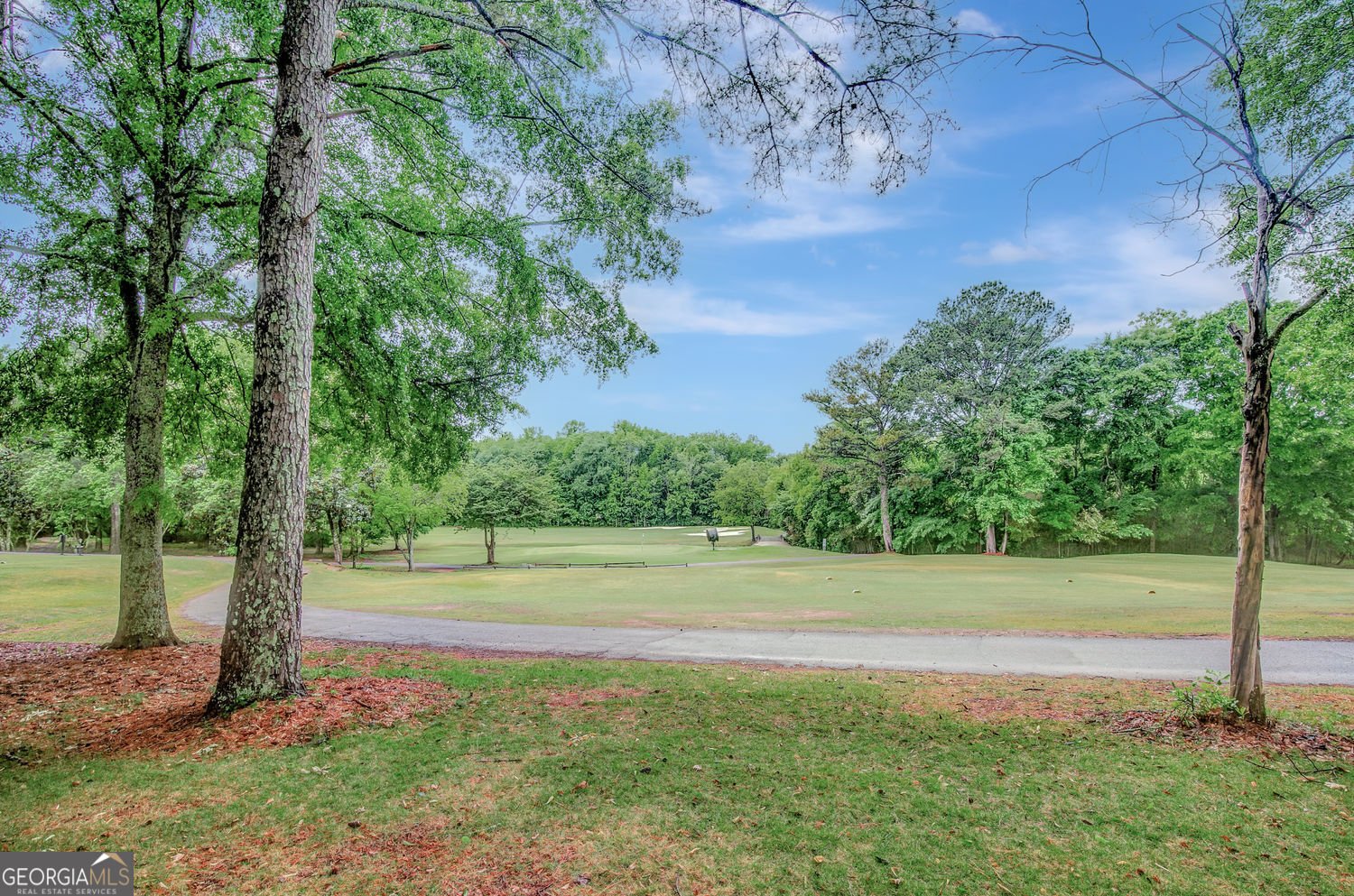 38 Greenview Drive Newnan - Photo 70