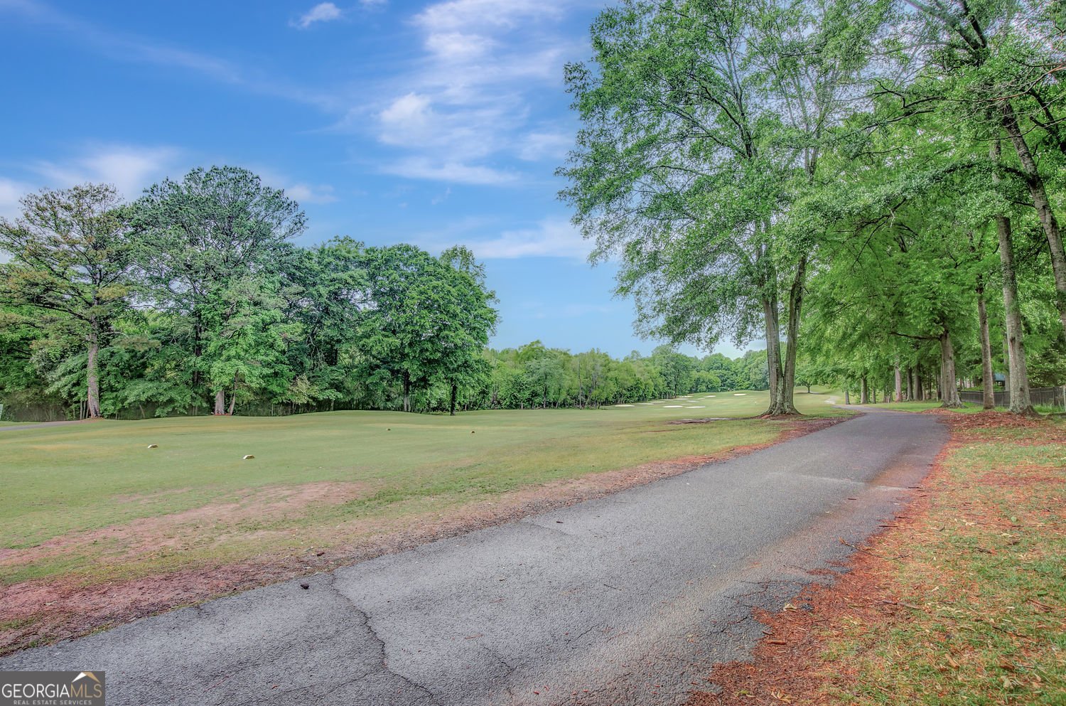 38 Greenview Drive Newnan - Photo 71
