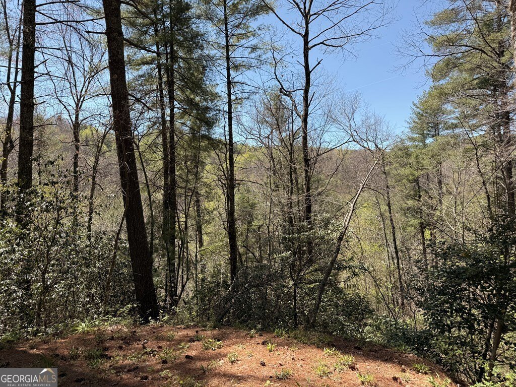 306 Jacks River Road Epworth - Photo 12