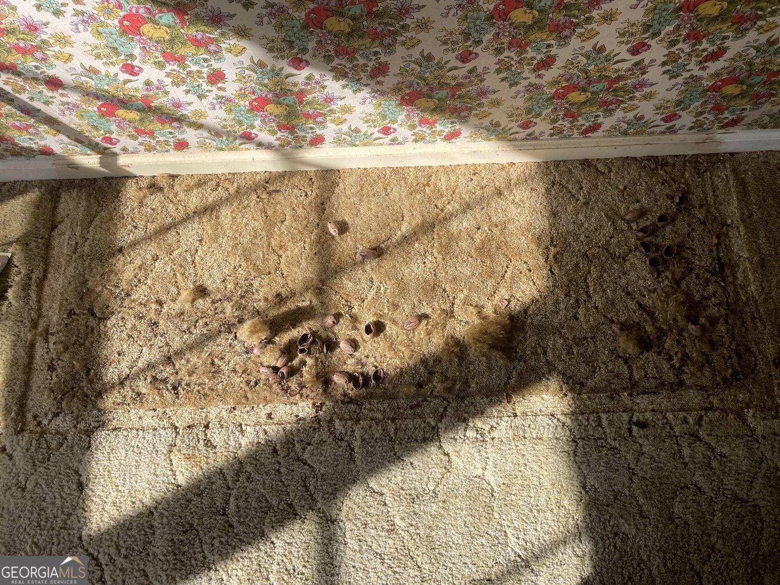 379 West Avenue Jackson - Photo 38