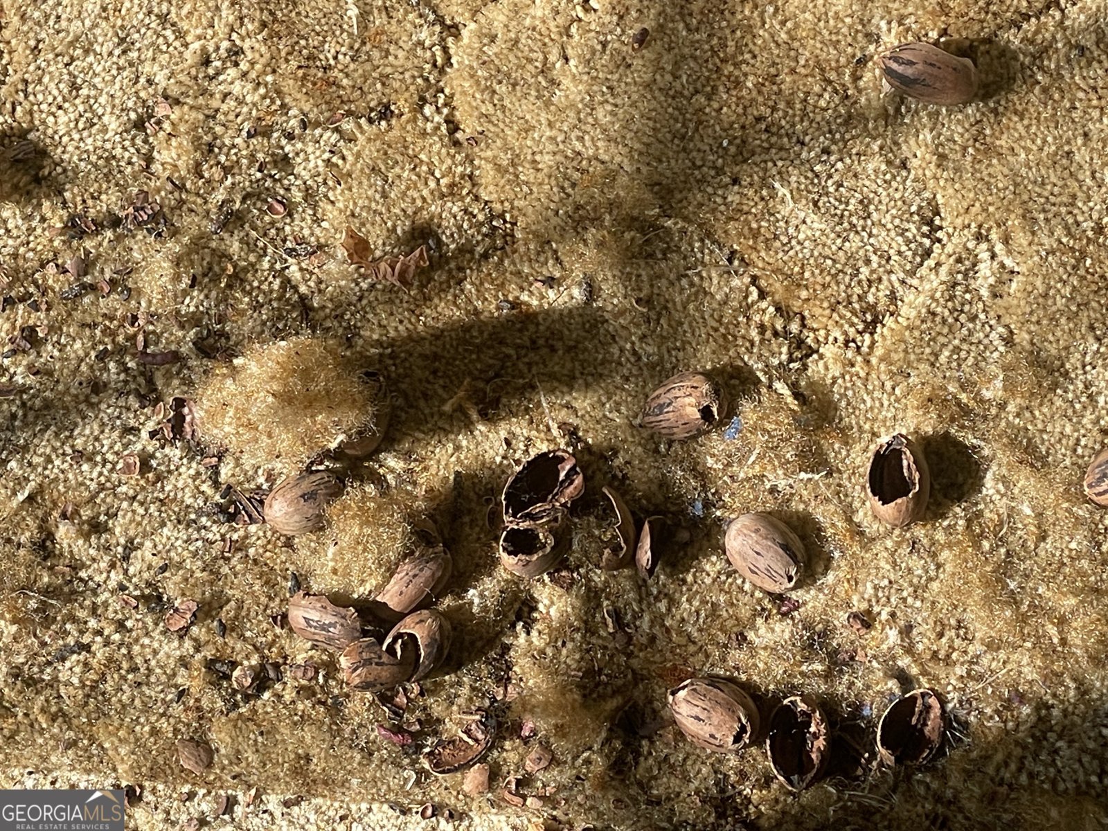 379 West Avenue Jackson - Photo 39