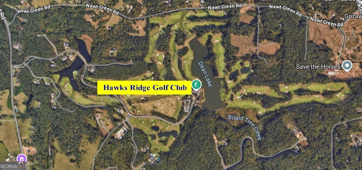 250 Hawks Lake Drive Ball Ground - Photo 41