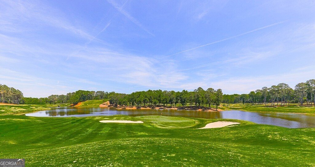 250 Hawks Lake Drive Ball Ground - Photo 49