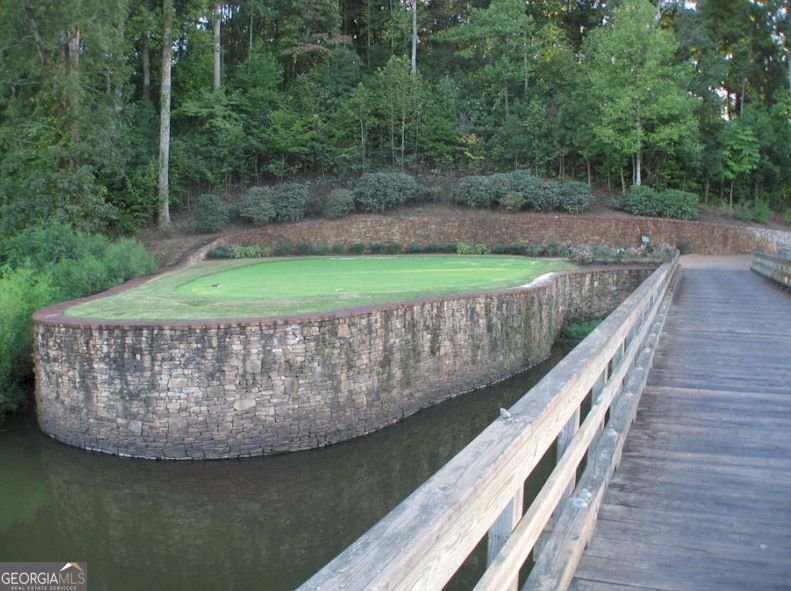 250 Hawks Lake Drive Ball Ground - Photo 51