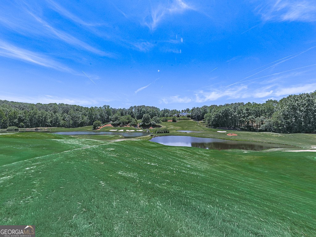 250 Hawks Lake Drive Ball Ground - Photo 55