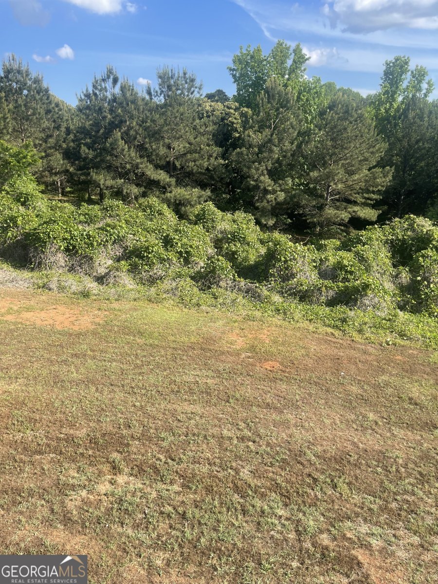 6 Hastings Court LaGrange - Photo 7