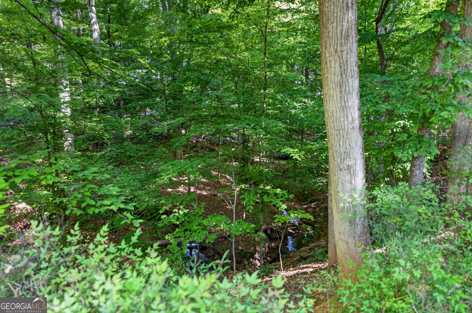 2070 Clay Drive Sandy Springs - Photo 49