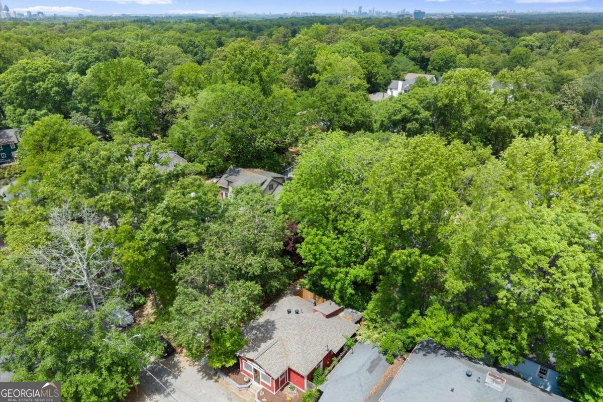 209 Hampshire Avenue Decatur - Photo 1