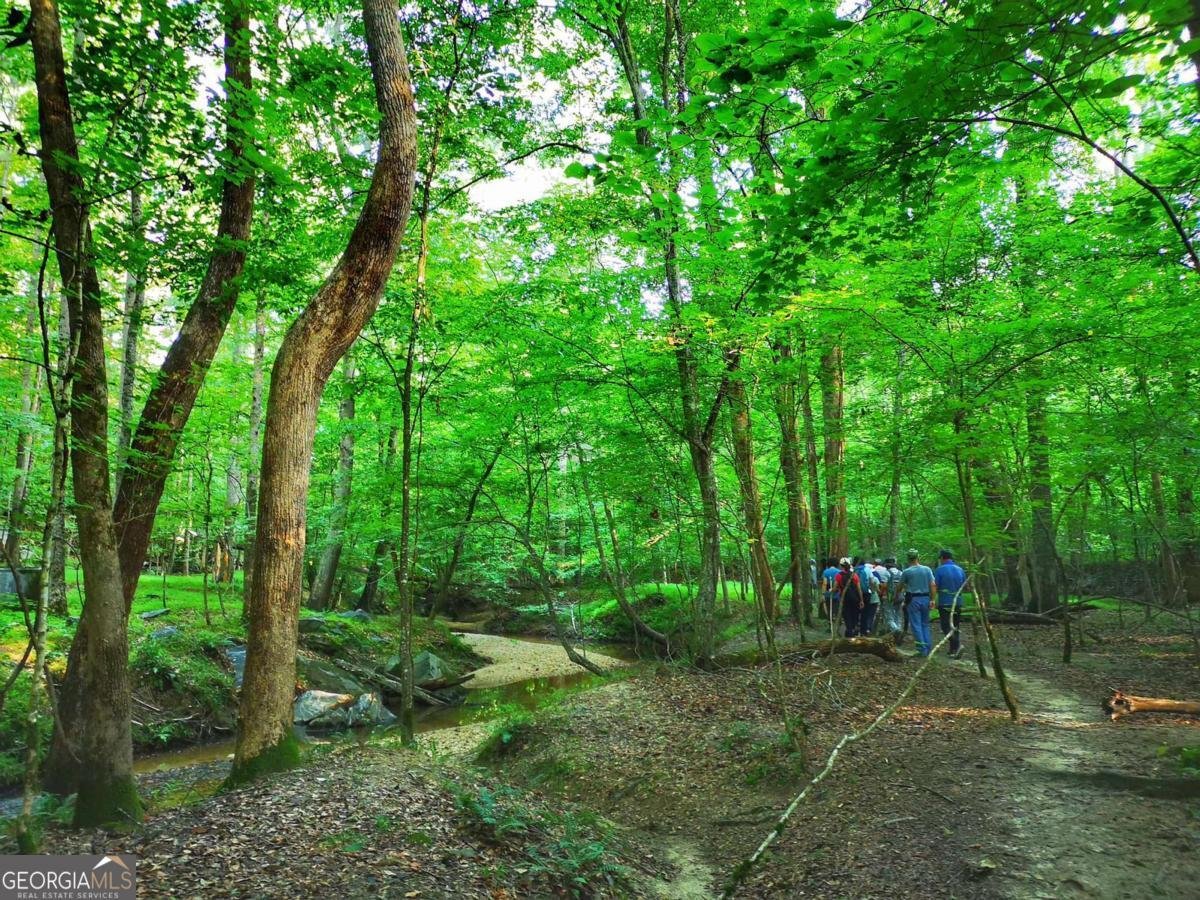 4220 Mary Walk Peachtree Corners - Photo 65