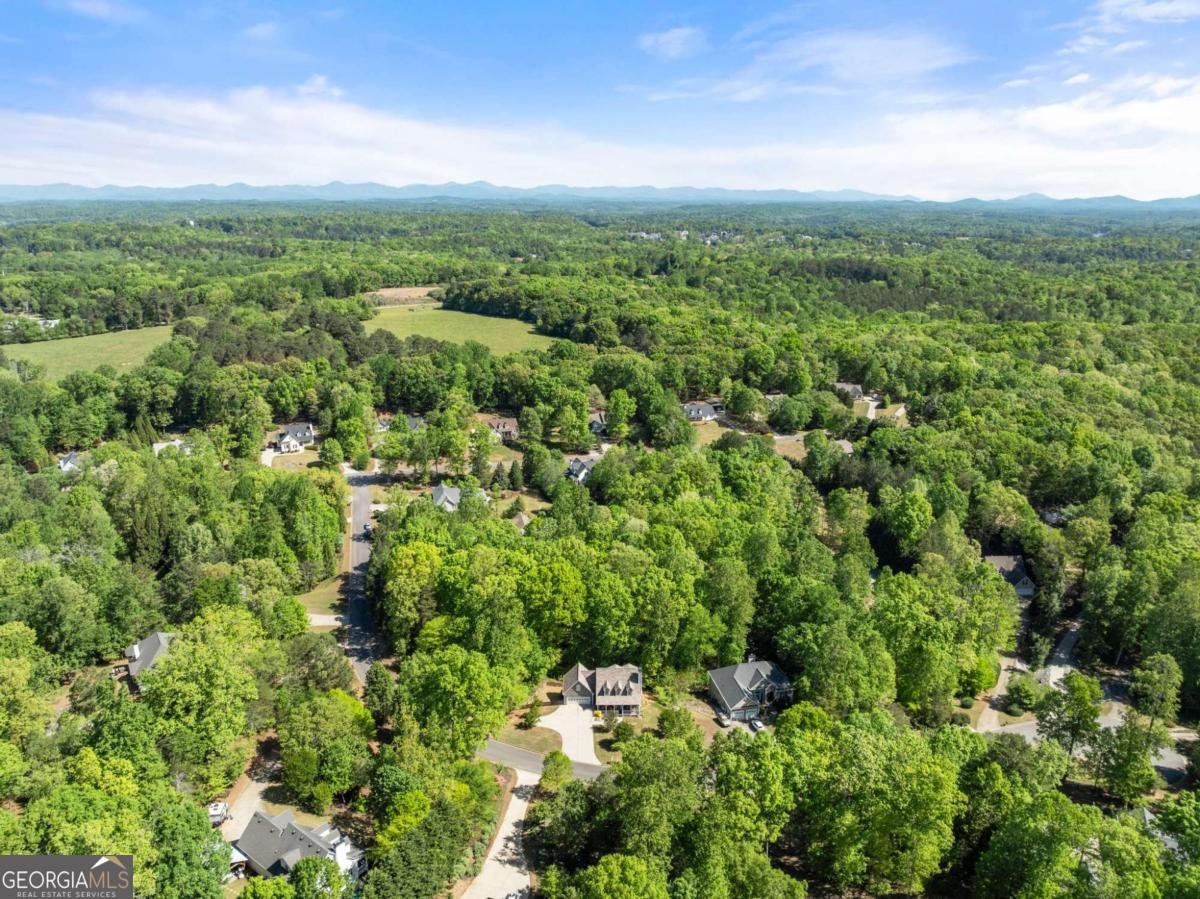 95 Oak Creek Way Dawsonville - Photo 52