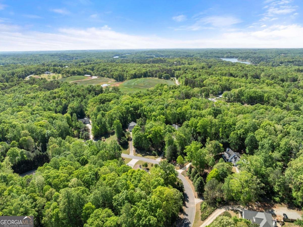 95 Oak Creek Way Dawsonville - Photo 53