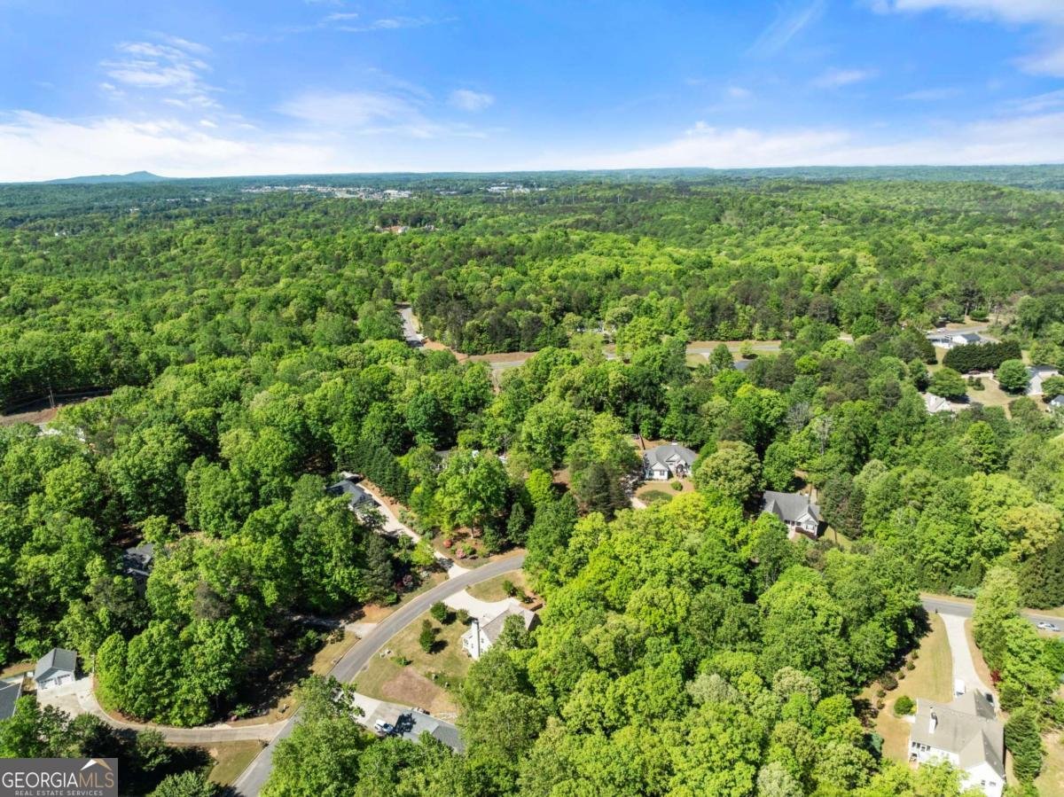 95 Oak Creek Way Dawsonville - Photo 54