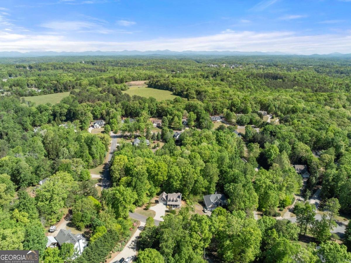 95 Oak Creek Way Dawsonville - Photo 55