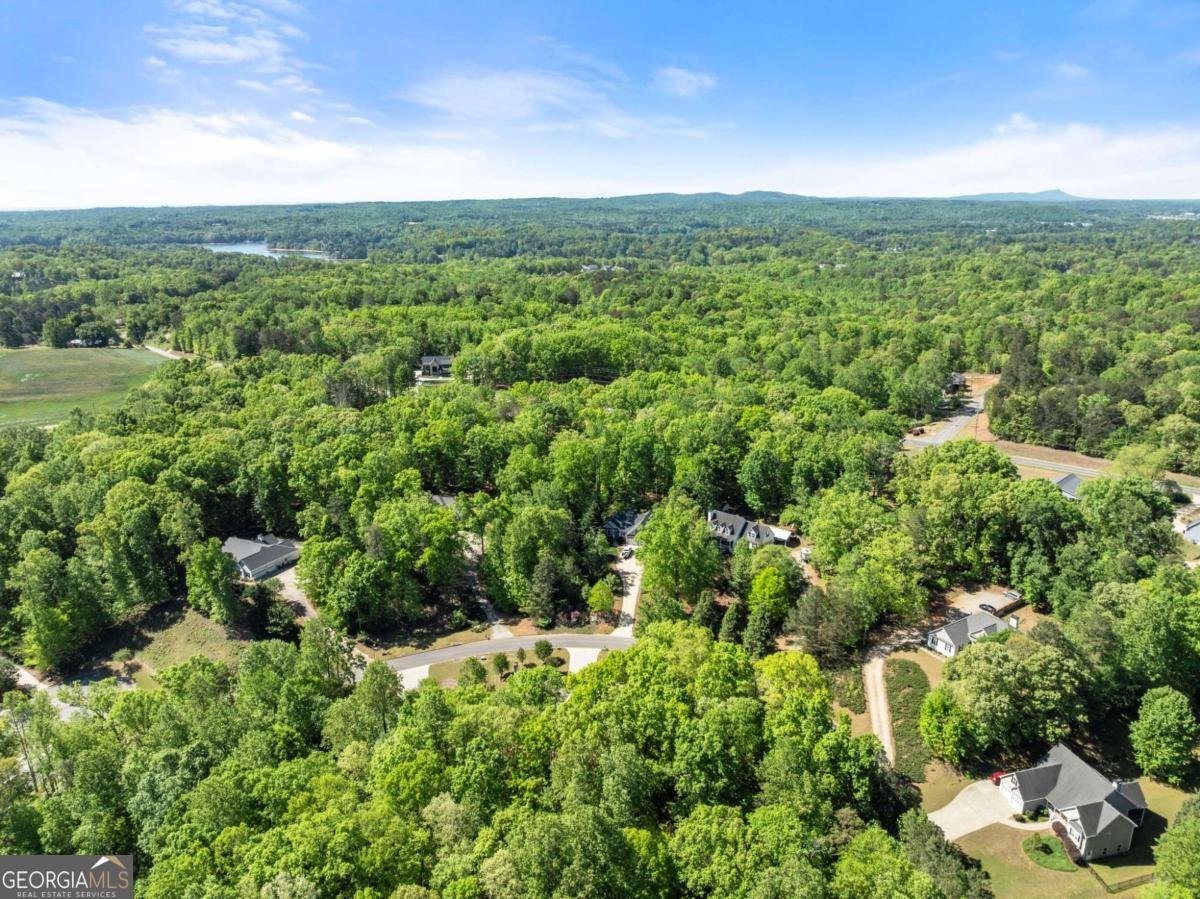 95 Oak Creek Way Dawsonville - Photo 56