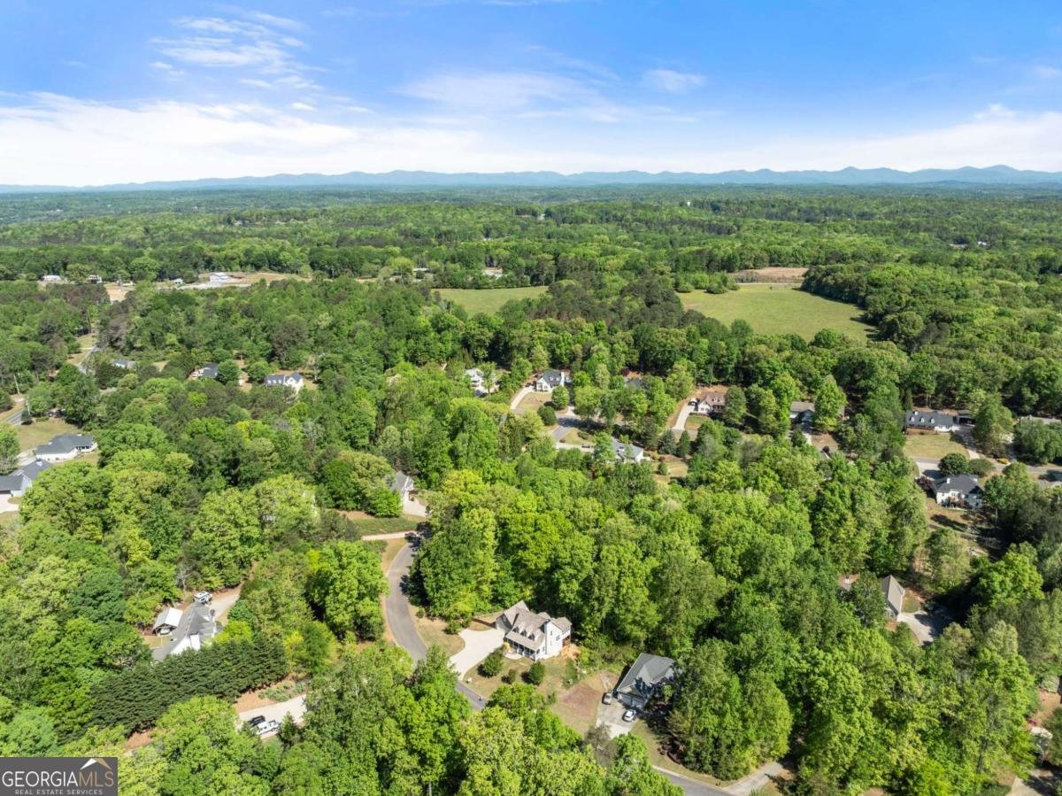 95 Oak Creek Way Dawsonville - Photo 57