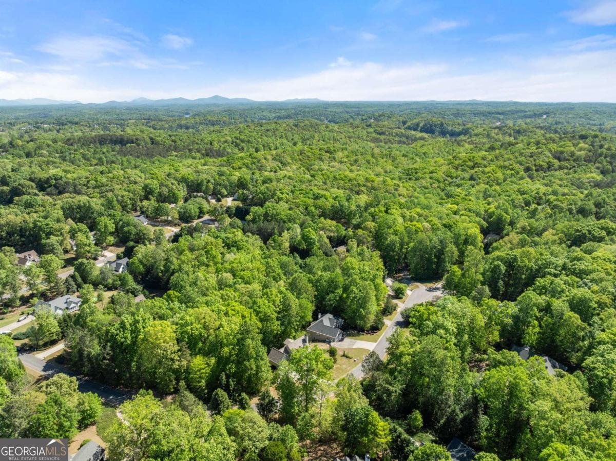 95 Oak Creek Way Dawsonville - Photo 58