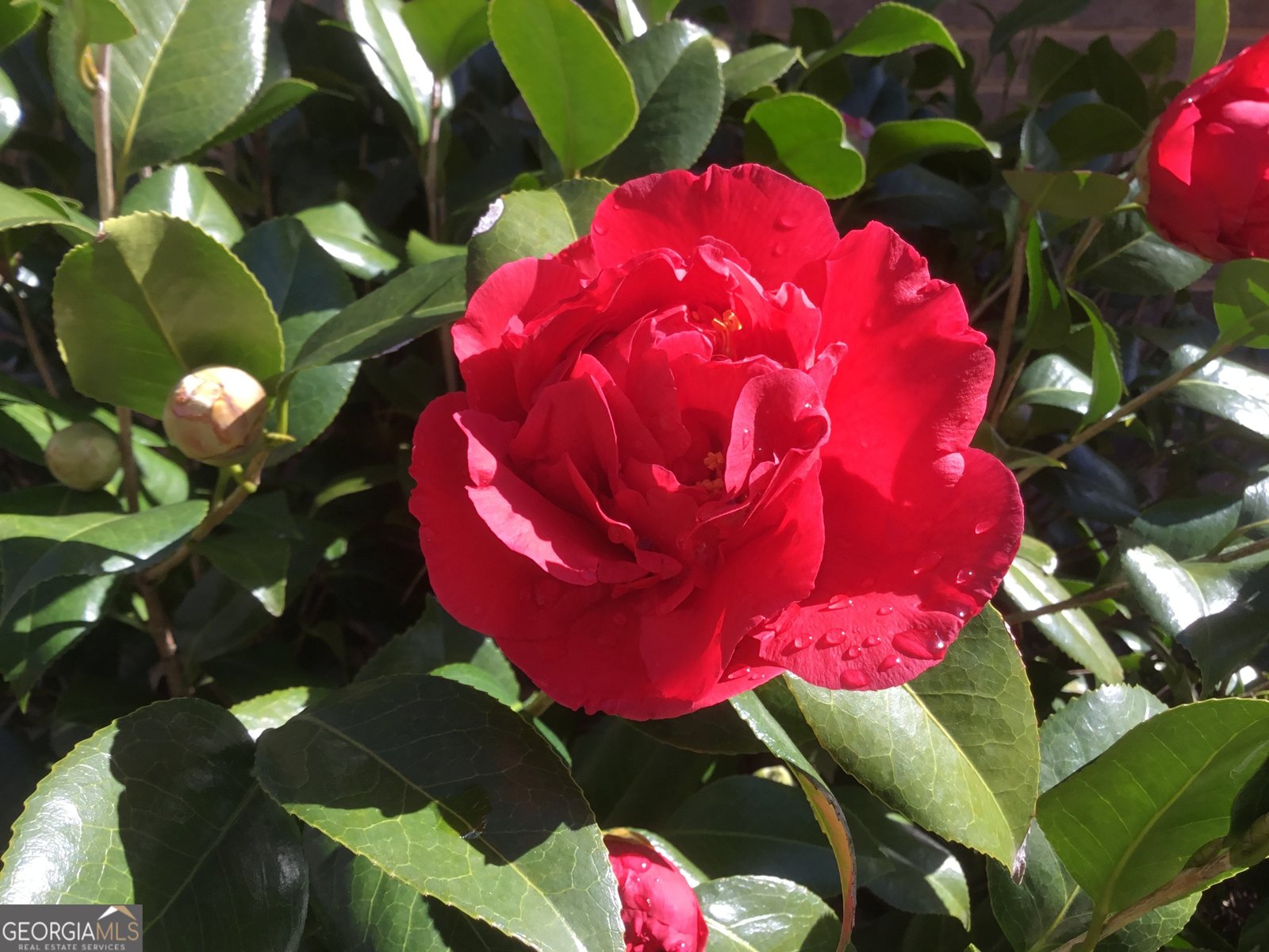 402 Boaters Row Fair Play - Photo 65