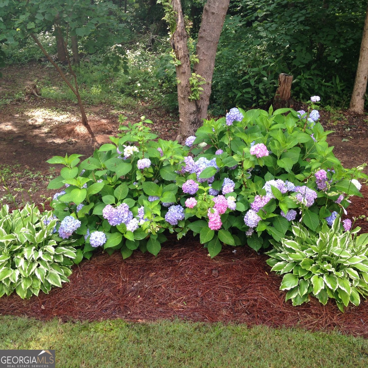 402 Boaters Row Fair Play - Photo 66