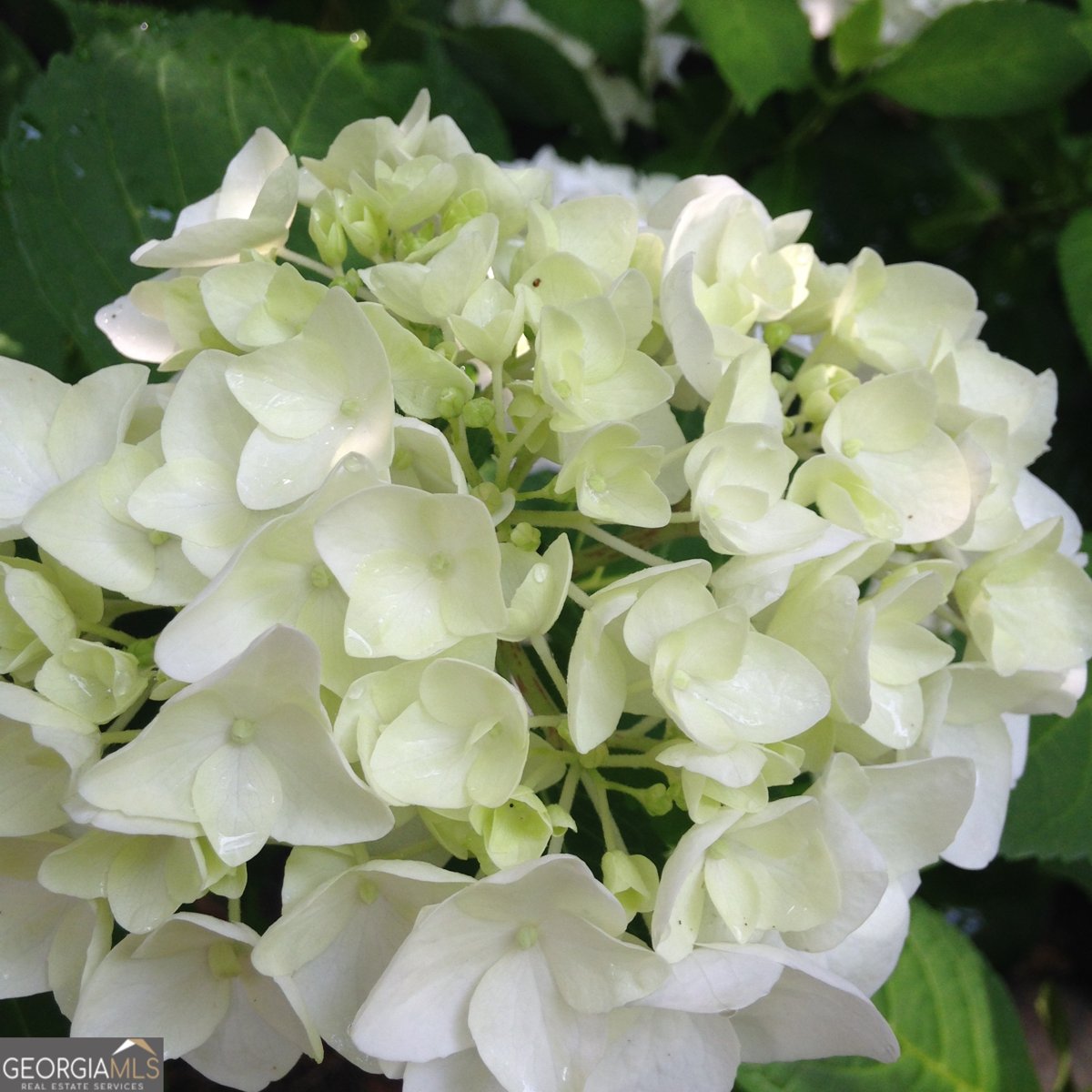 402 Boaters Row Fair Play - Photo 68