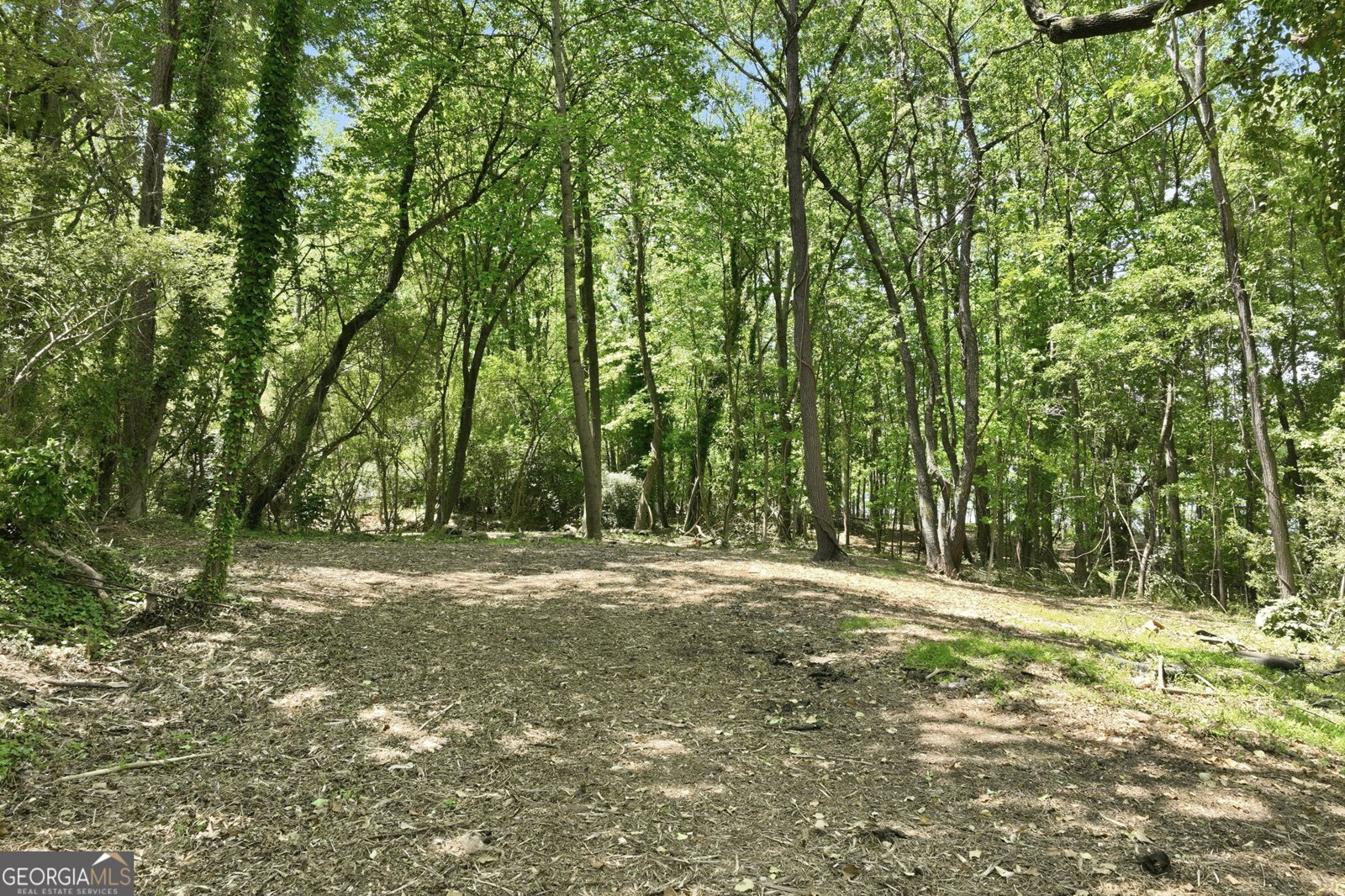 3243 Cleveland Highway Gainesville - Photo 11