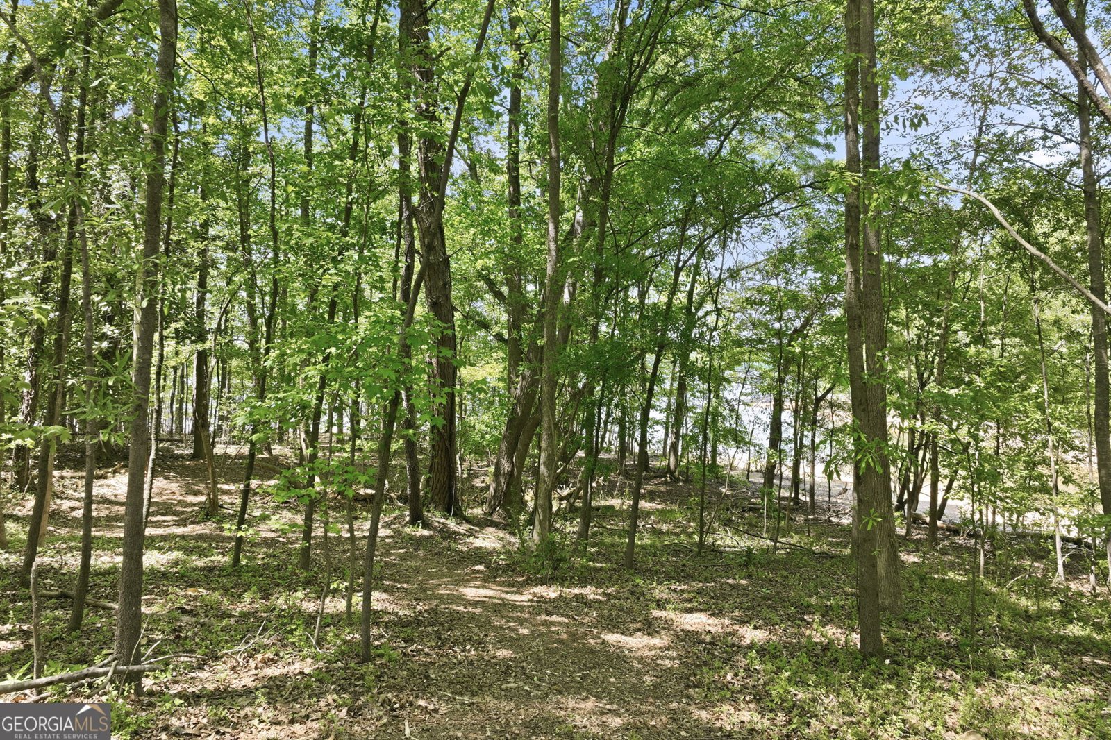 3243 Cleveland Highway Gainesville - Photo 13