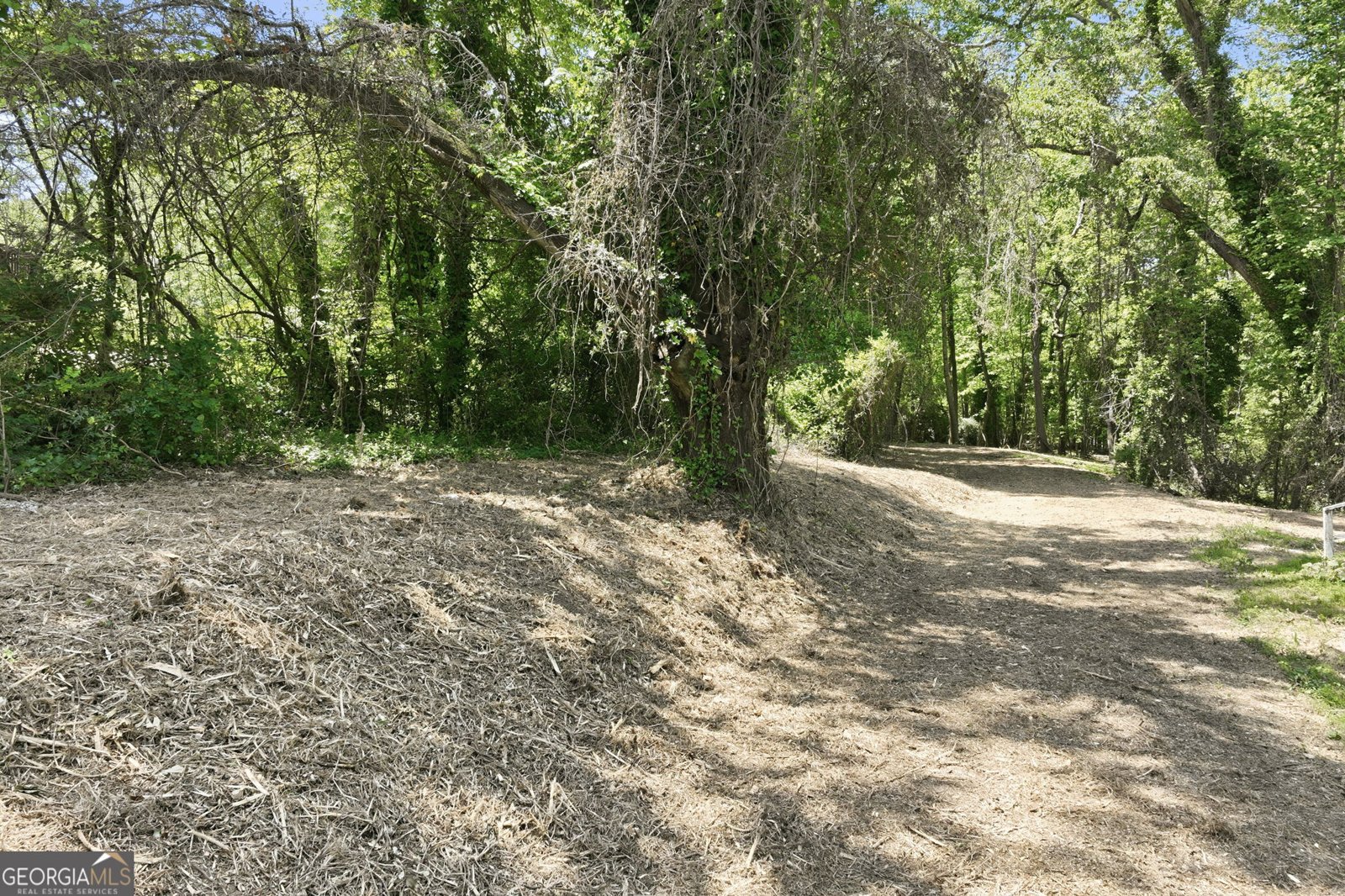 3243 Cleveland Highway Gainesville - Photo 15