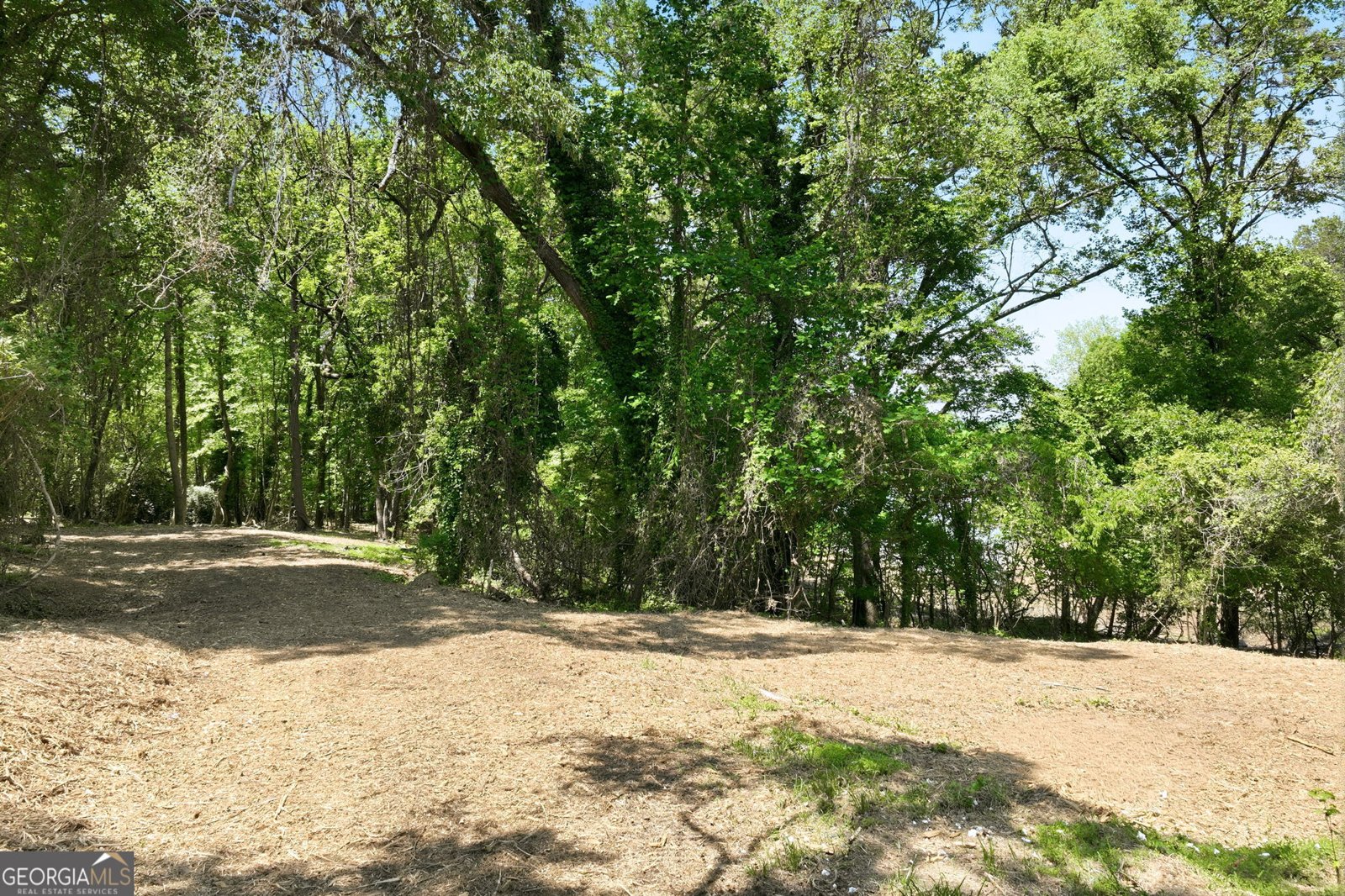 3243 Cleveland Highway Gainesville - Photo 17