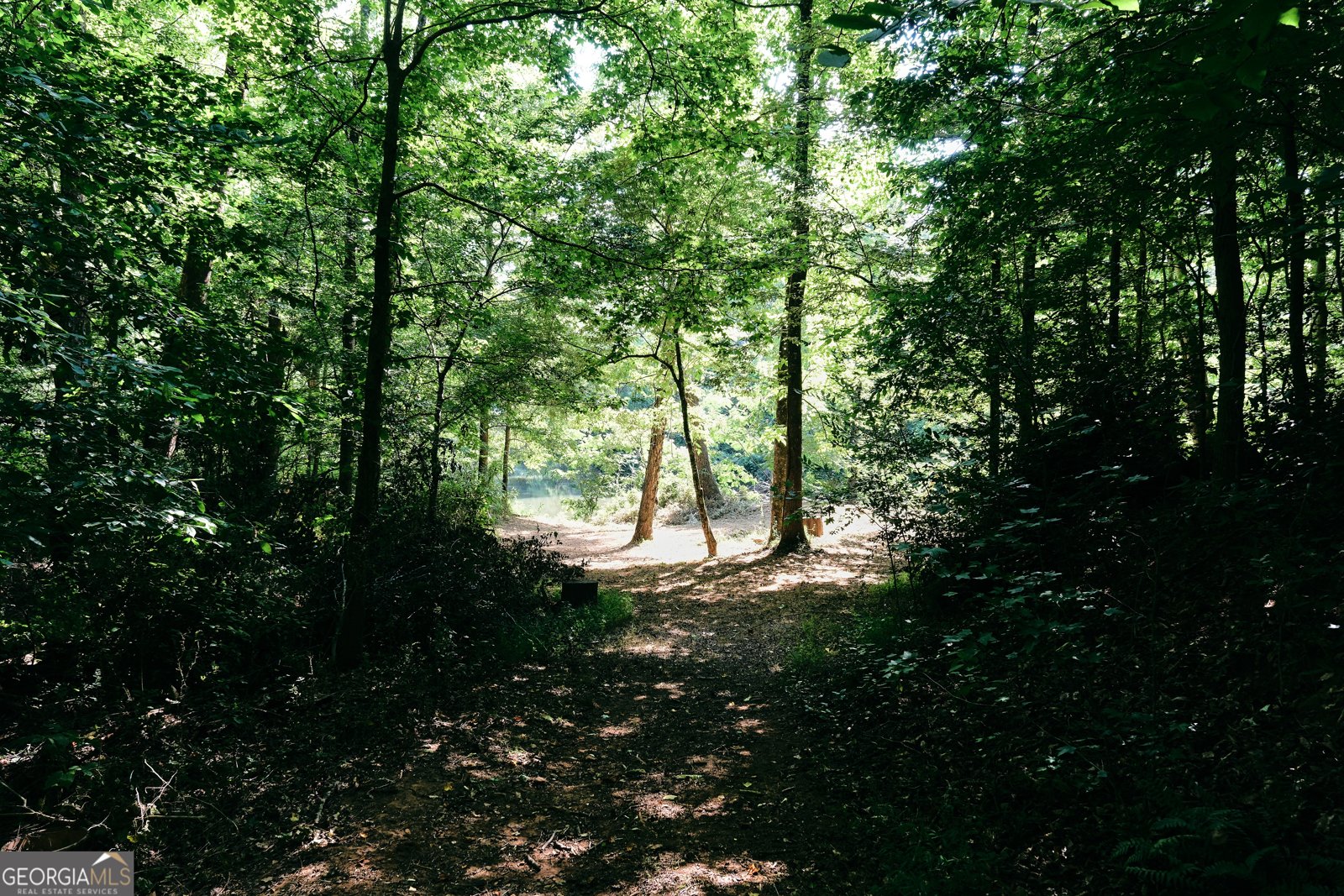 177 Antler Drive Thomaston - Photo 43