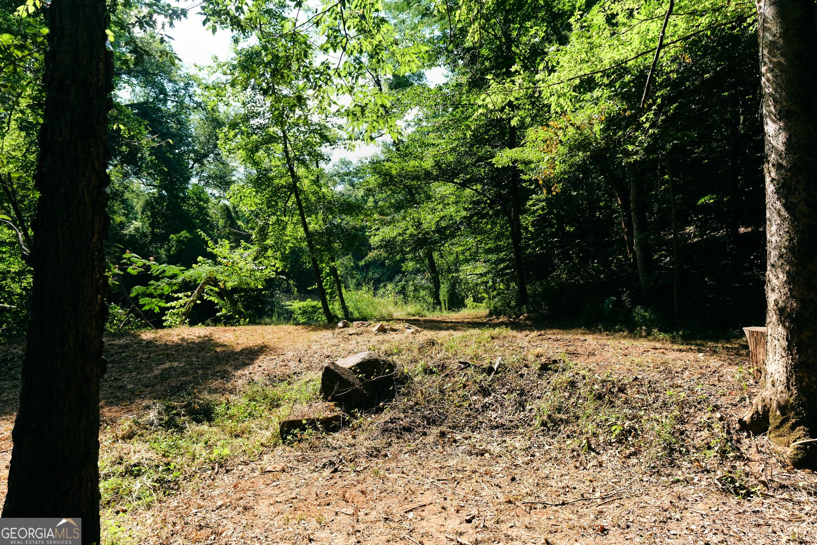 177 Antler Drive Thomaston - Photo 53