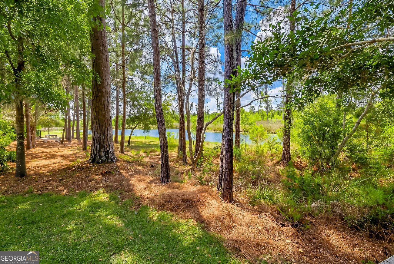 17 Oakcrest Court Savannah - Photo 51