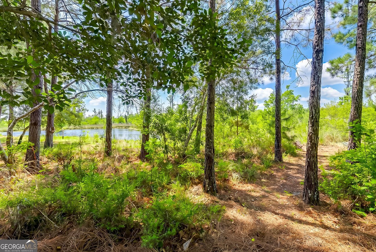 17 Oakcrest Court Savannah - Photo 52