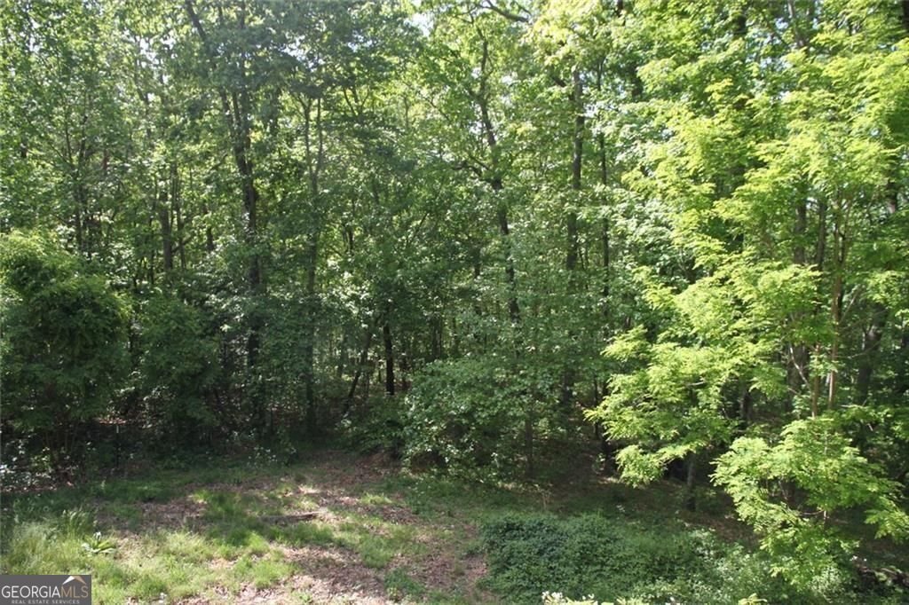 168 Green Cabin Way Talking Rock - Photo 11