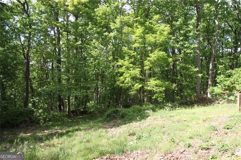 168 Green Cabin Way Talking Rock - Photo 12