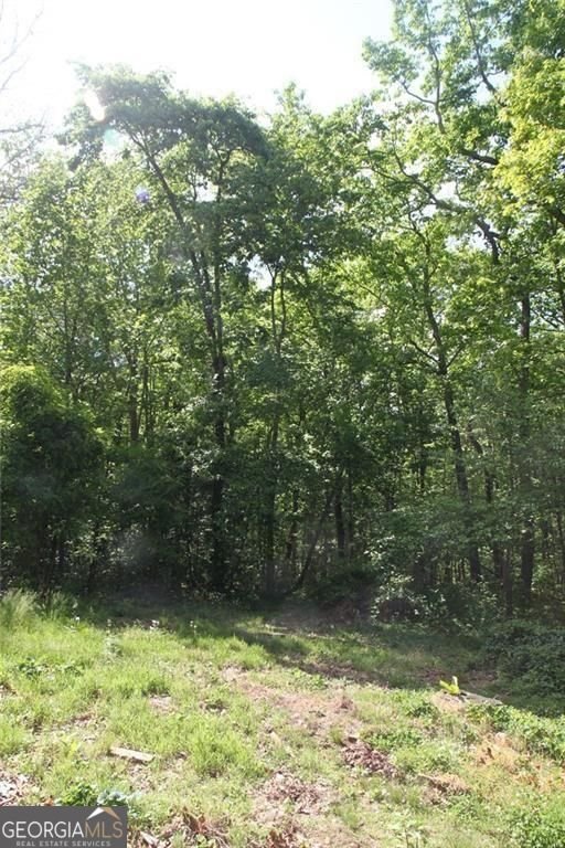 168 Green Cabin Way Talking Rock - Photo 13