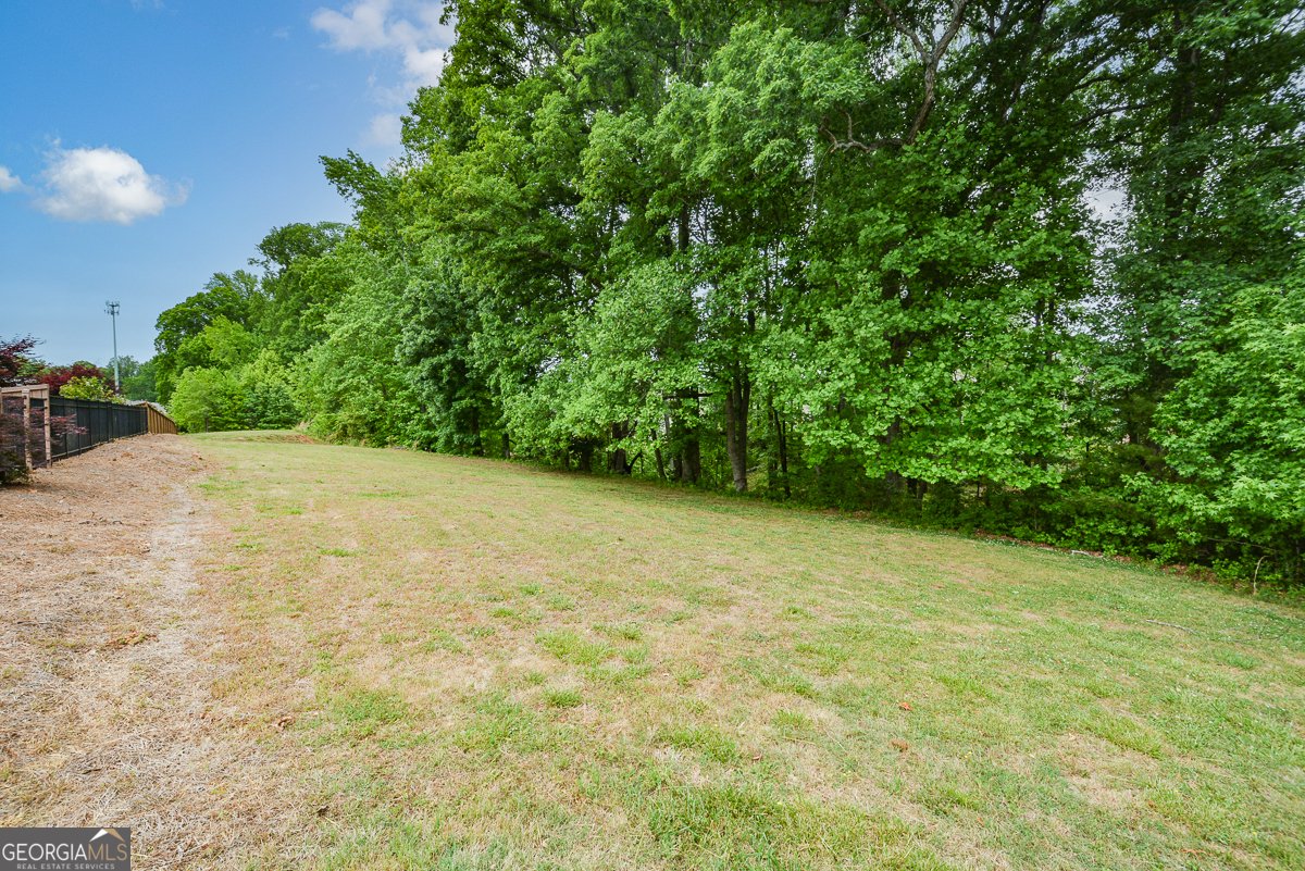 2970 Prestwood Drive Cumming - Photo 54