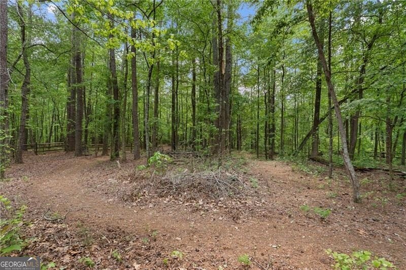 1174 Bowerie Chase Powder Springs - Photo 59