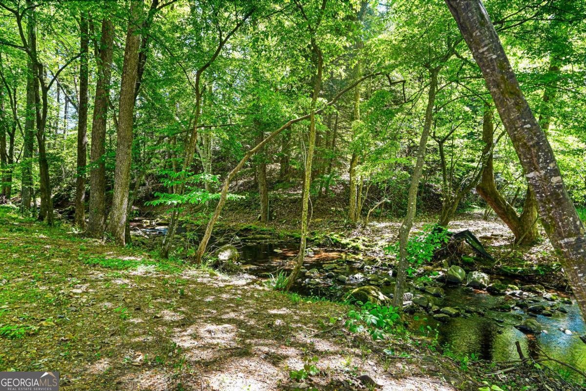 2451 Stockton Drive Marietta - Photo 53