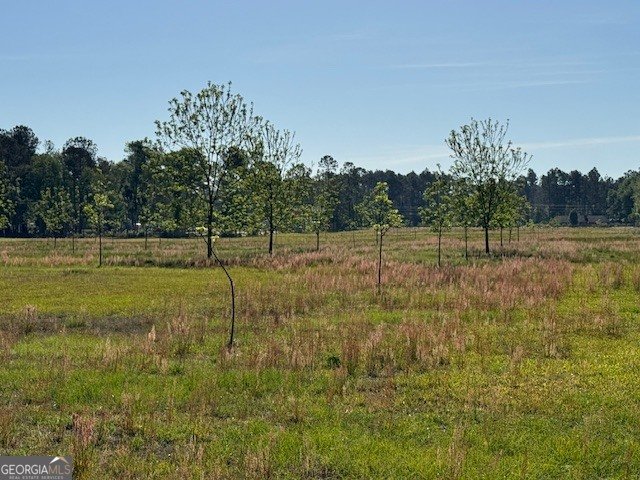 176 Niederriter Lane Vidalia - Photo 11