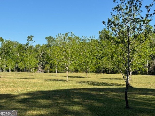 176 Niederriter Lane Vidalia - Photo 12