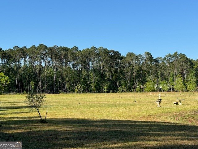 176 Niederriter Lane Vidalia - Photo 13