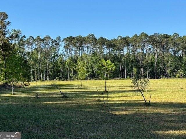 176 Niederriter Lane Vidalia - Photo 14