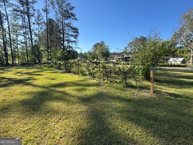 176 Niederriter Lane Vidalia - Photo 15