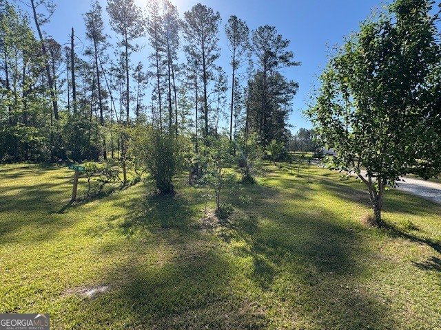 176 Niederriter Lane Vidalia - Photo 16